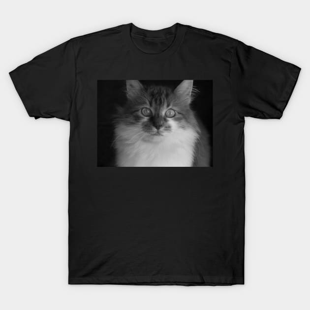 Cute cat T-Shirt by bunlinked